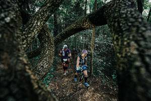 BIB: 
                            <button type="button" onclick="openModal(25392070)" class="btn btn-primary btn-sm float-right btn-popup" data-toggle="modal" data-target=".modal-high-quality">
                        <i class="fas fa-shopping-cart"></i> Add to Cart
                    </button>
                                            <button type="button" onclick="isThisMe(25392070, true)" class="btn btn-success btn-sm float-right btn-popup btn-isme hidden" data-toggle="tooltip" data-placement="bottom" title="นี่คือรูปของคุณใช่ไหม คลิกที่นี่เพื่อเอาเข้าอัลบั้ม">
                        <i class="fas fa-plus"></i> Add to album
                    </button>
                    <button type="button" onclick="isThisMe(25392070, false)" class="btn btn-warning btn-sm float-right btn-popup btn-isnotme hidden">
                        <i class="fas fa-ban"></i> Remove from album
                    </button>